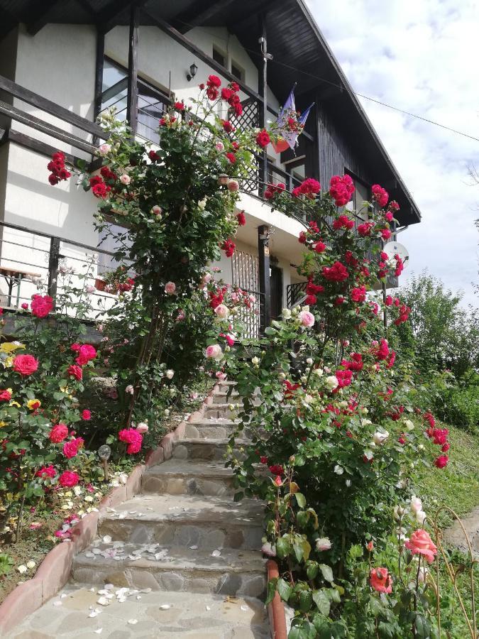 Casuta Cu Trandafiri Slănic Exterior foto
