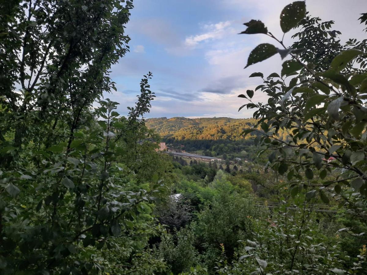 Casuta Cu Trandafiri Slănic Exterior foto