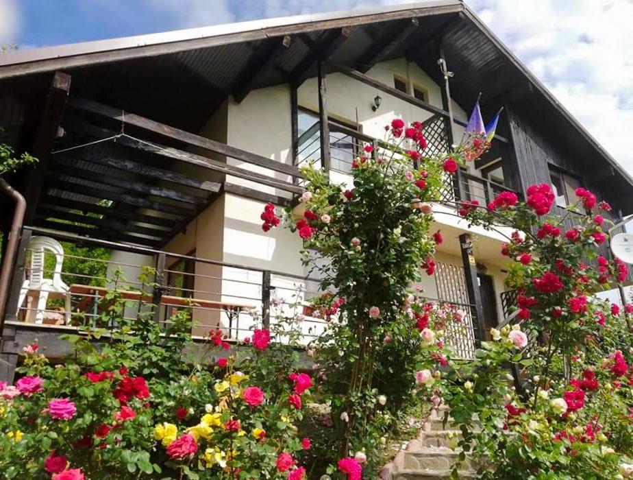 Casuta Cu Trandafiri Slănic Exterior foto