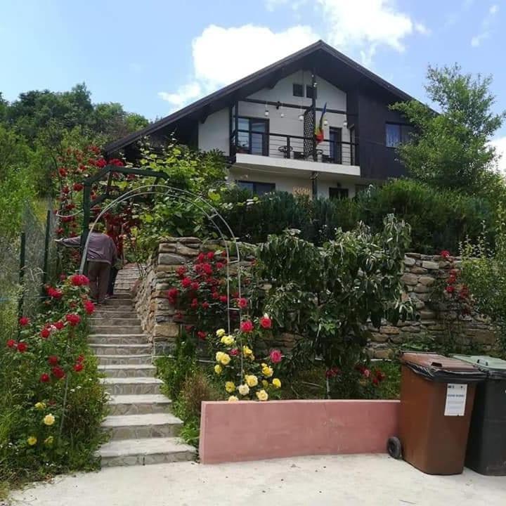 Casuta Cu Trandafiri Slănic Exterior foto