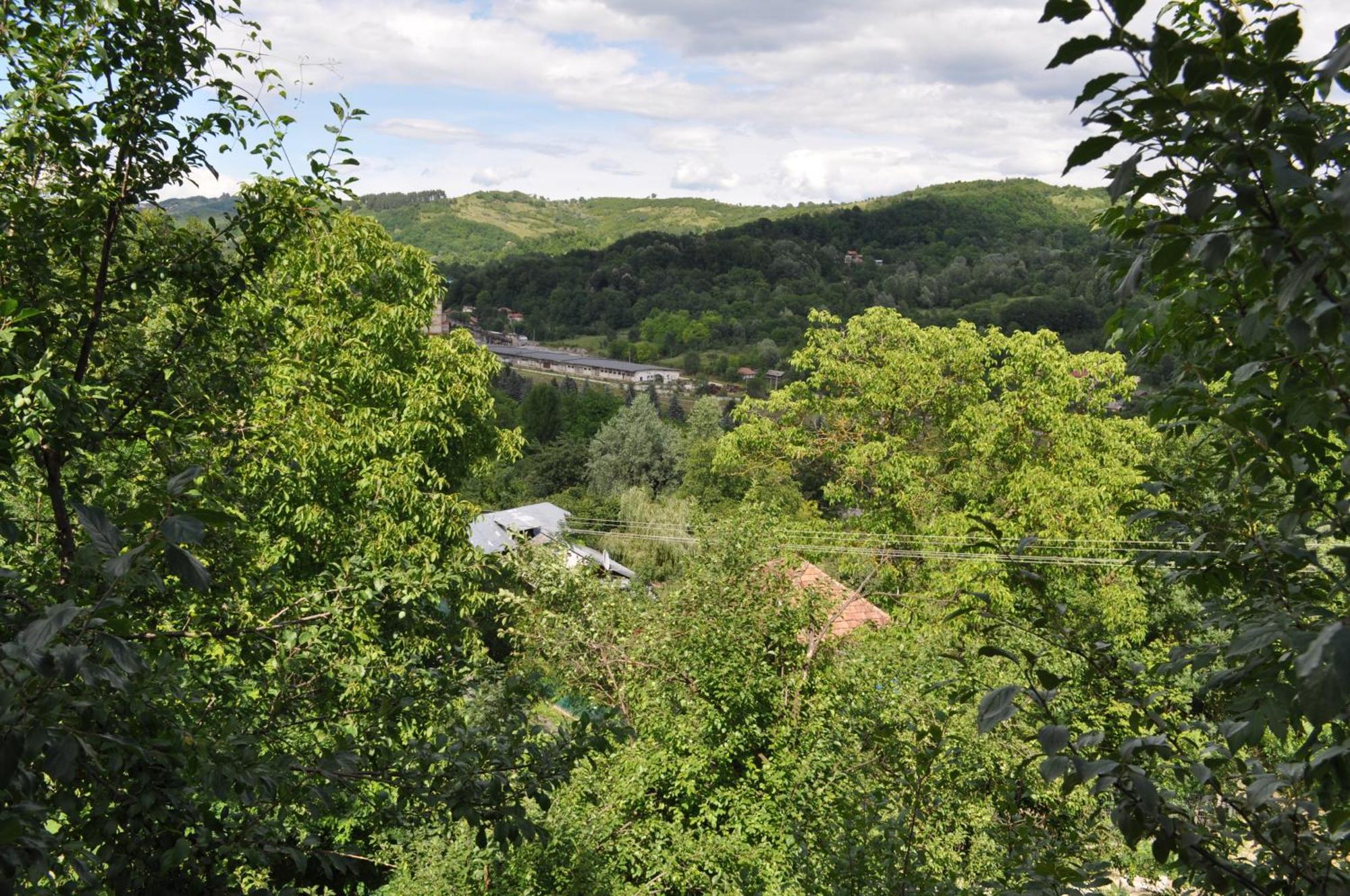 Casuta Cu Trandafiri Slănic Exterior foto